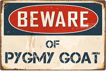 StickerPirate Beware of Pygmy Goat 8 x 12 Vintage Aluminum Retro Metal Sign VS348