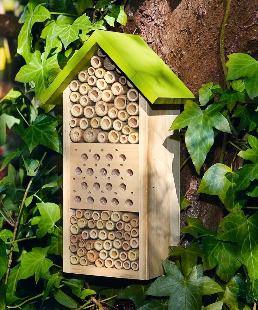 moses Bienenhotel Expedition Natura, Nido e svernamento per api Selvatiche, con emozionante Libretto per Bambini