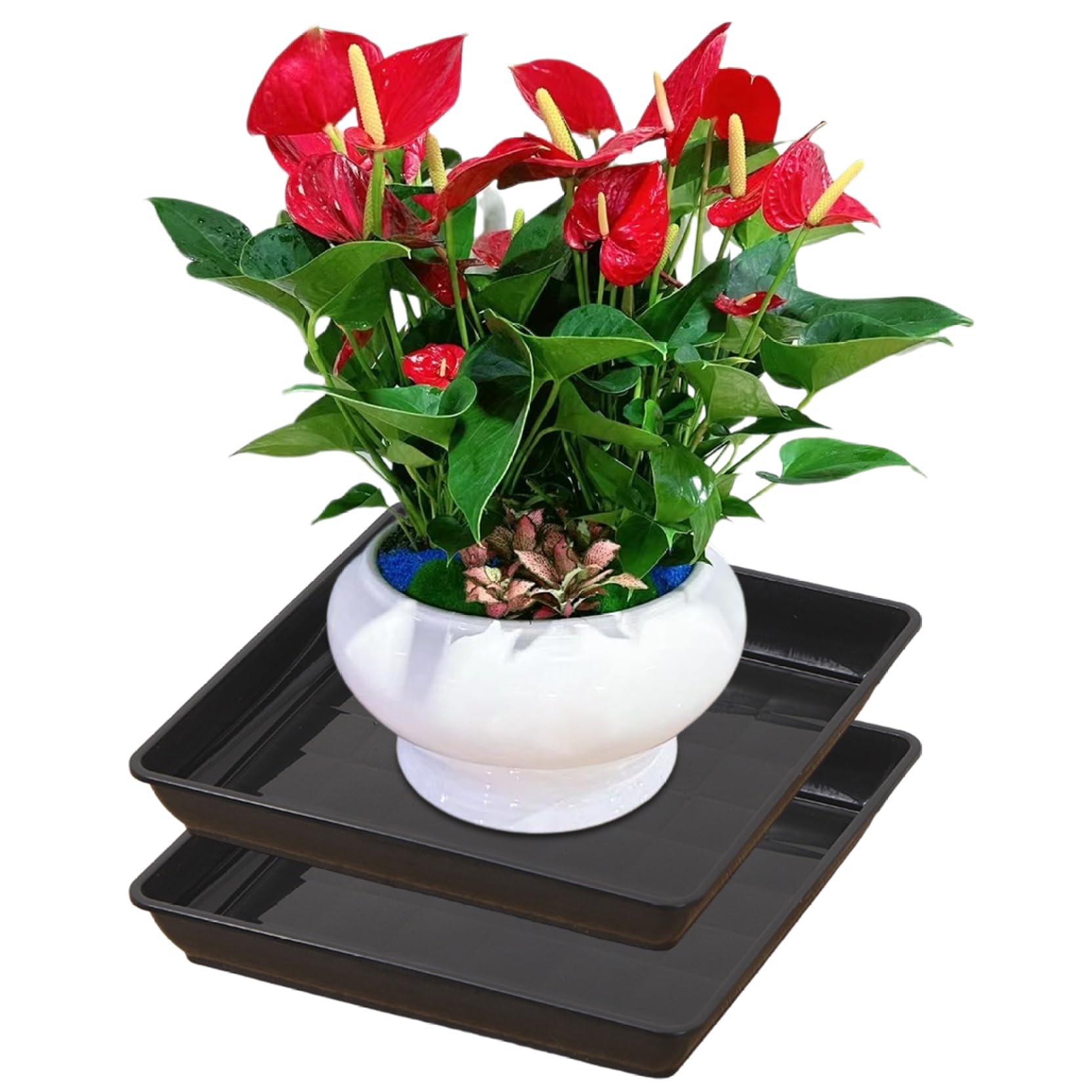 Soucoupe carrée pour plantes en plastique épais haute robustesse, 2 pcs