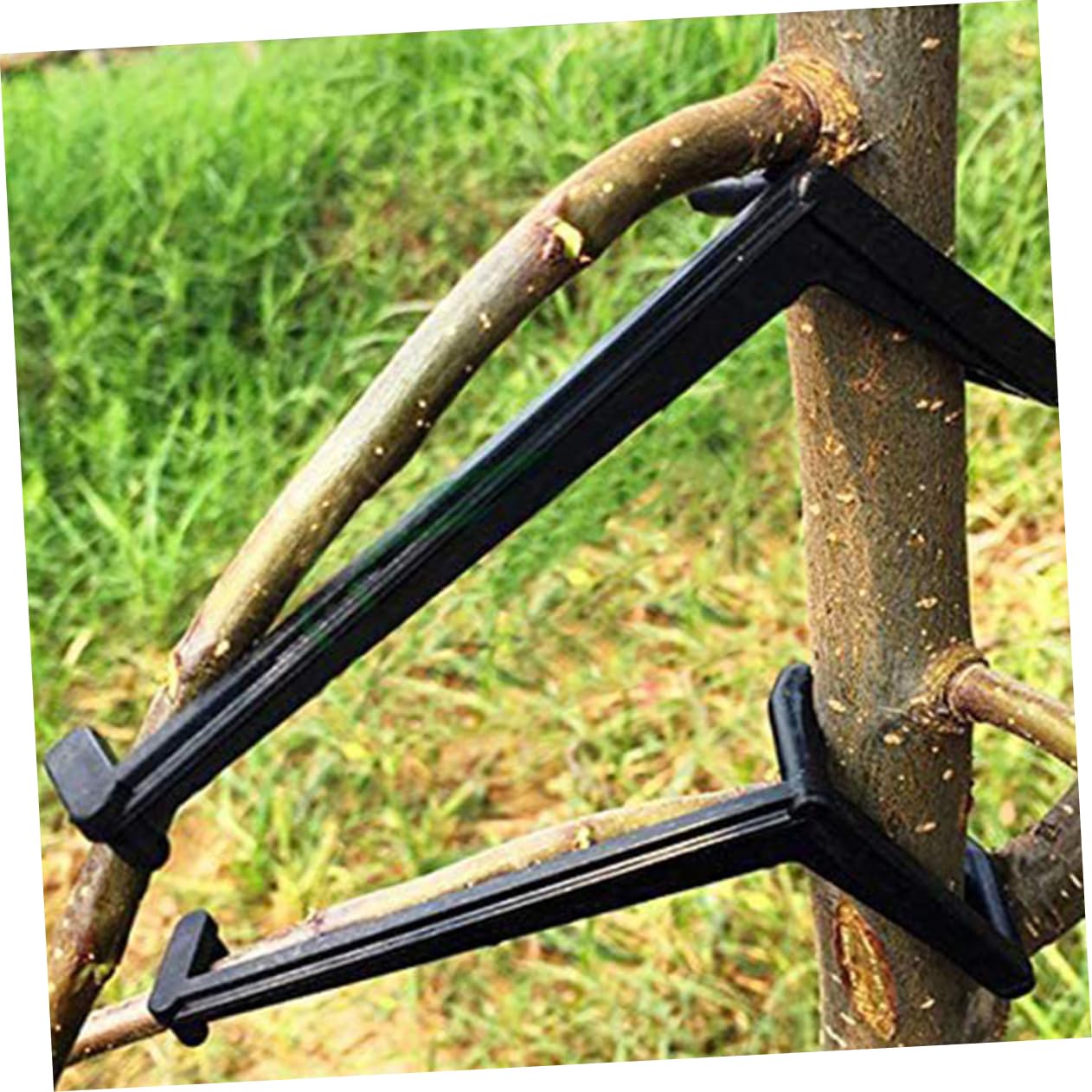 Supvox 5 Sätze Wiederverwendbare Pflanzenbiegeklammern Zweigverteiler Pflanzentrainingsklammern Für Das Gartenzweigbiegewerkzeug 10 Stück * 5