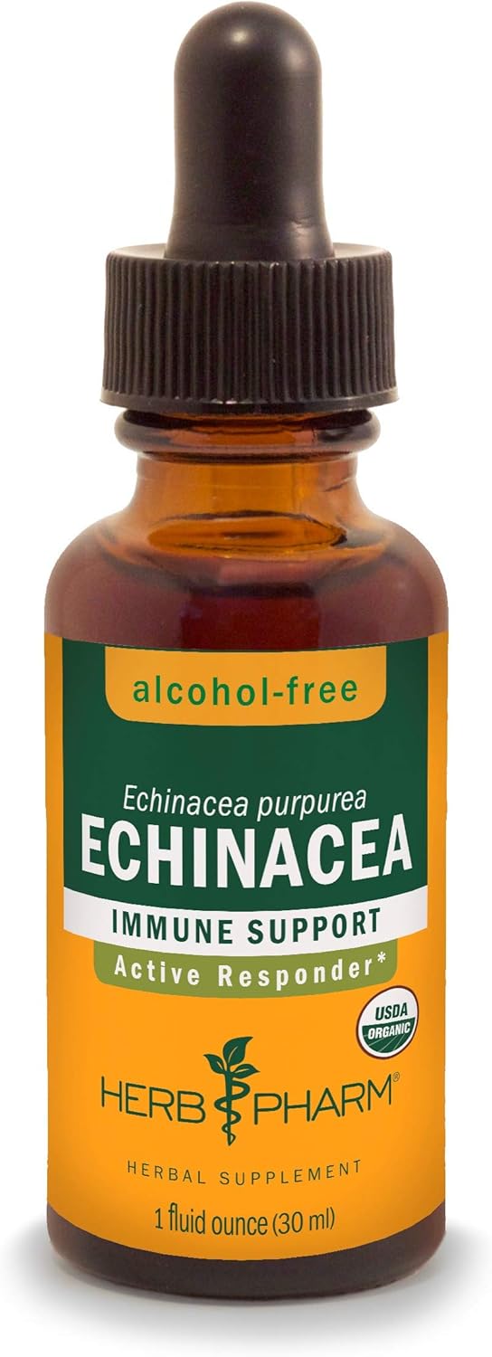 Herb Pharm Organic Echinacea Root Extract, Alcohol-Free: Immune System Support for All Seasons, Fast-Acting Echinacea Plant Supplement, Non-GMO, Vegan & Gluten-Free, 1 Oz