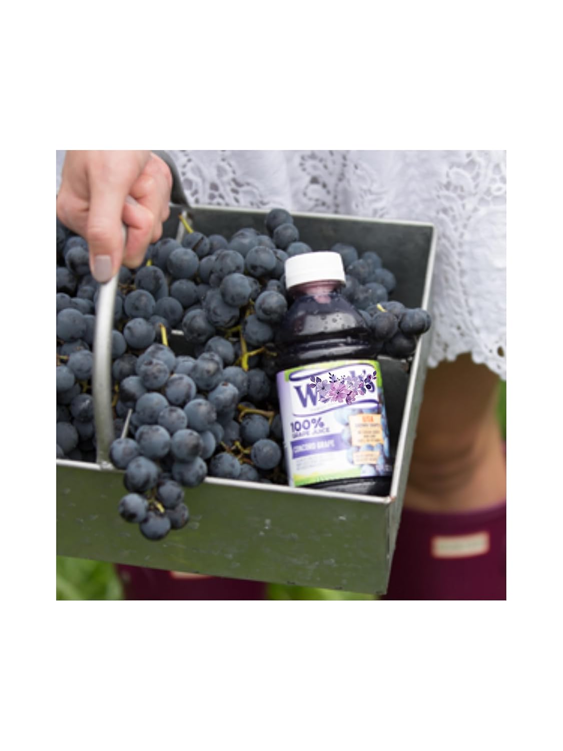 LiteZout 100% Concord Grape Juice, 10oz, (24 pack), by