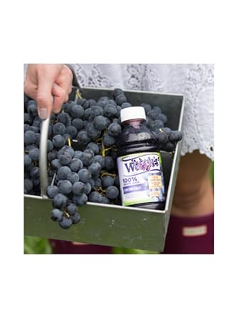 LiteZout 100% Concord Grape Juice, 10oz, (24 pack), by