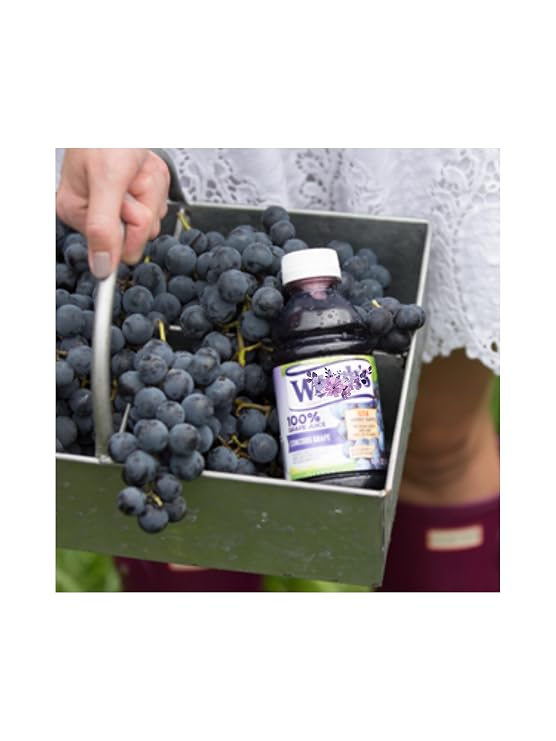 LiteZout 100% Concord Grape Juice, 10oz, (24 pack), by