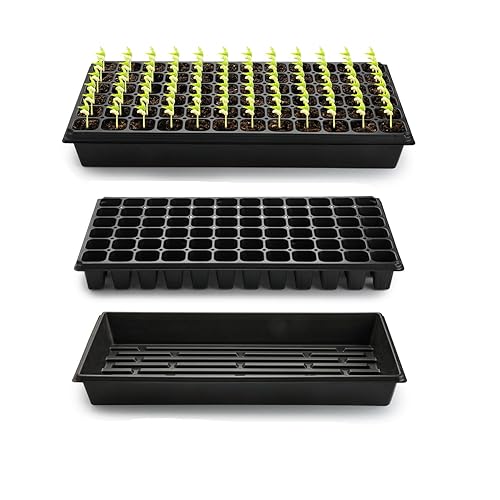 RooTrimmer 10 Pack 1020 Trays No Holes and 10 Pack