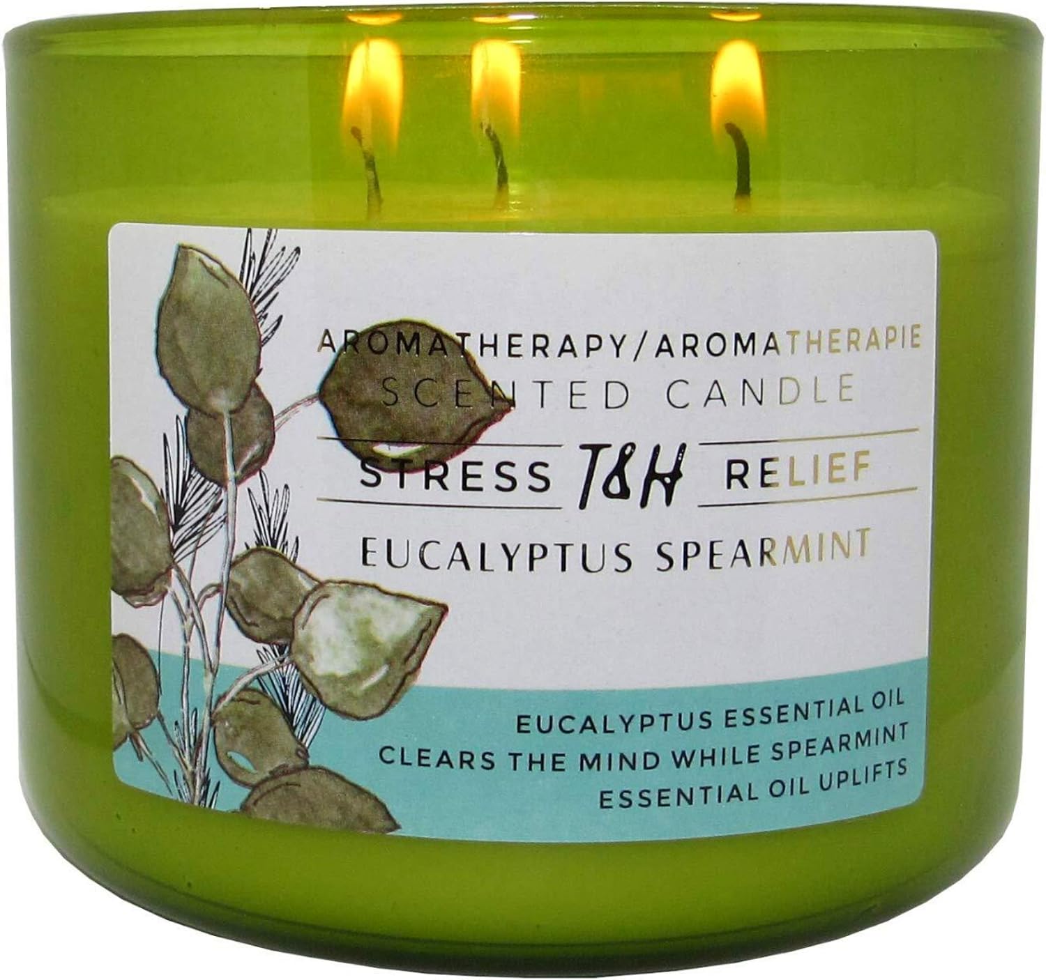 Stress Relief Aromatherapy Candles Eucalyptus Spearmint Scented Candle | 16 Oz Soy Candles for Home | Decorative Candles Long Lasting 3 Wick Candle : Health & Household