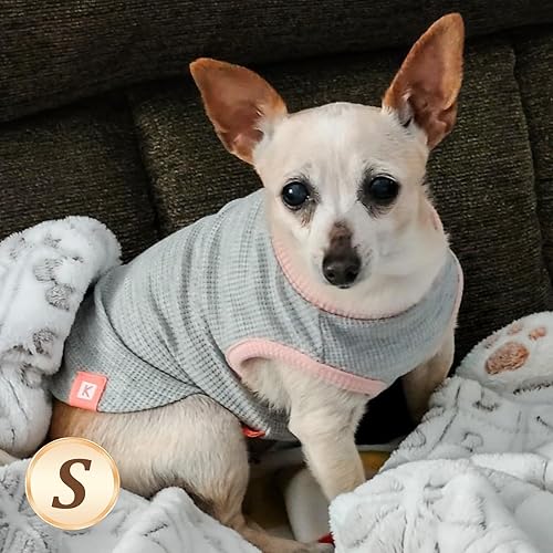 Miniatura 9 de KYEESE Paquete de 2 camisas para perros pequeños, camisetas suaves y elásticas para perros, camisetas ligeras sin mangas para perro, chaleco