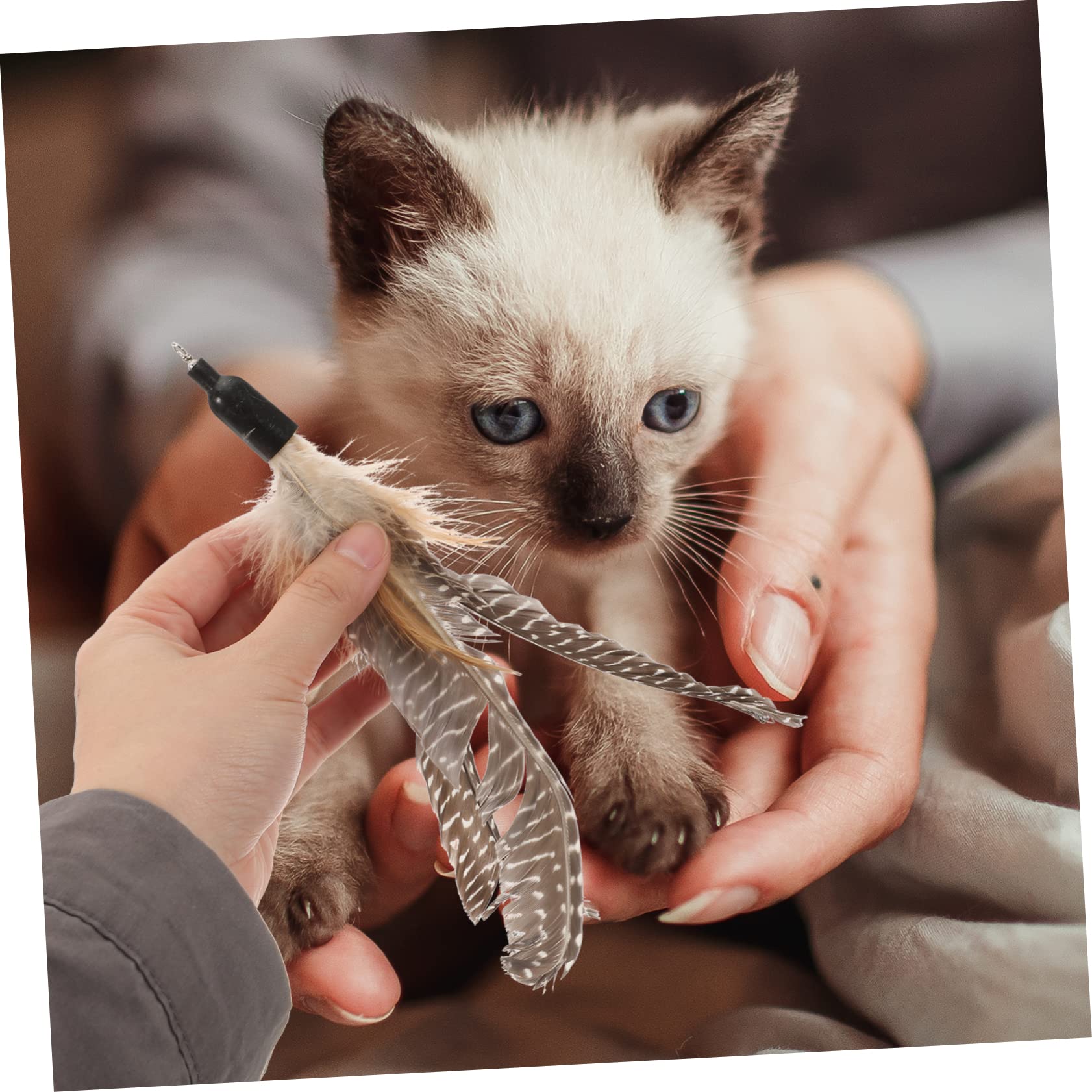 Happyyami Accessoires De Sport Pièces Recharge Chat Teaser Chaton Chasse Jouet Accessoires de de Portables Jouets de remplacements de de de pour Perle