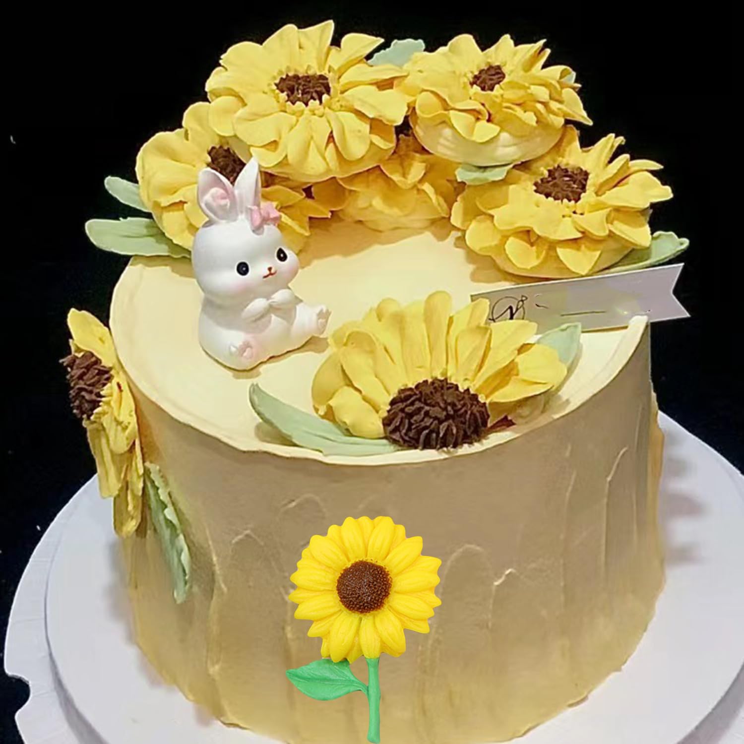 View 9