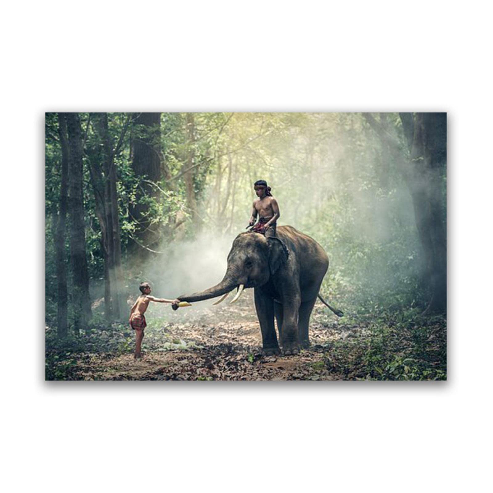 Amazon.co.jp: 象の写真「象に乗るカンボジア人」のプリントキャンバス  