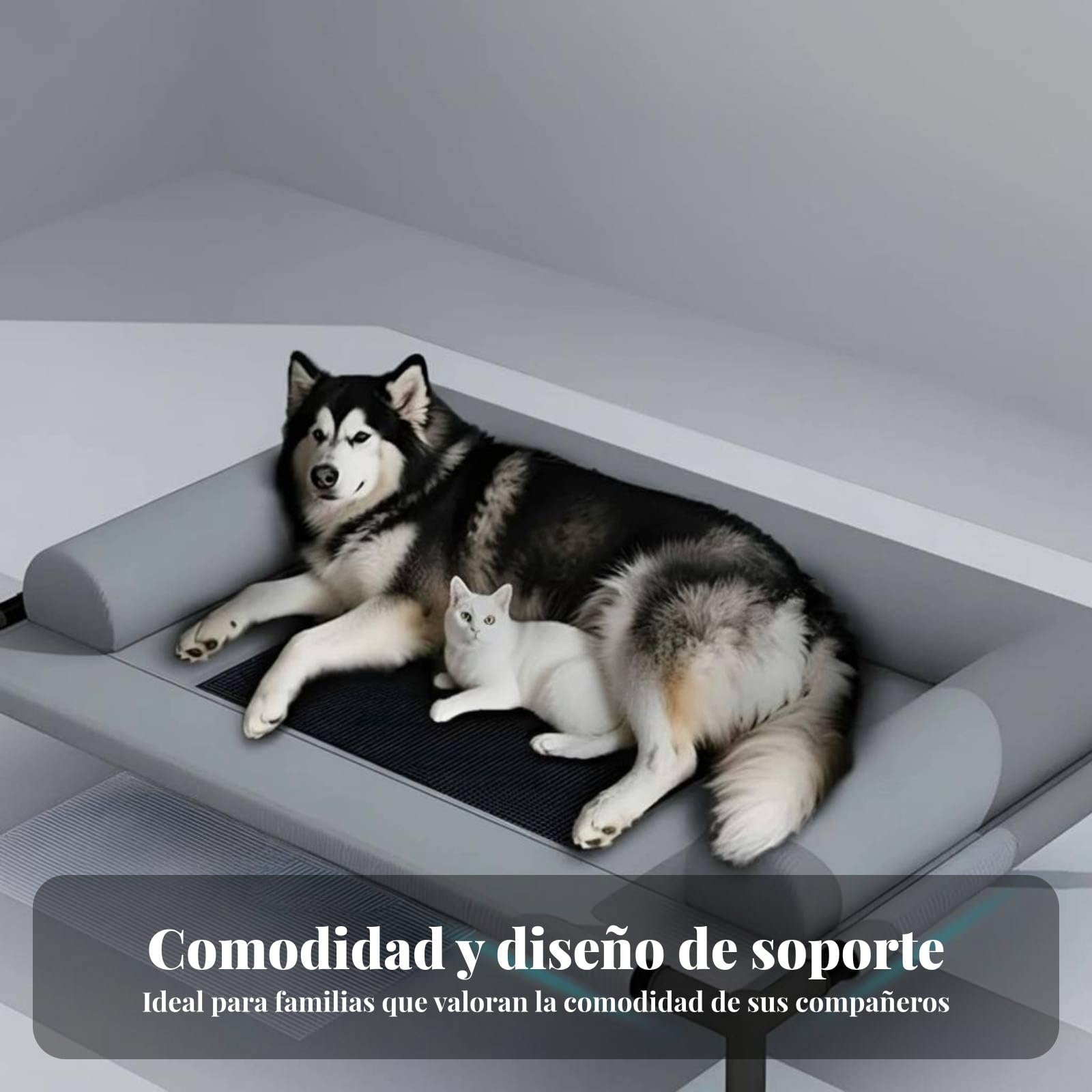 predolo Letto Rialzato per Cani Rimovibile e Lavabile, Lettino Rialzato per Cani, Resistente All'umidità Cuccia in Rete Traspirante, Divano per cani Estate, Esterni, Interni, Cuscino A L
