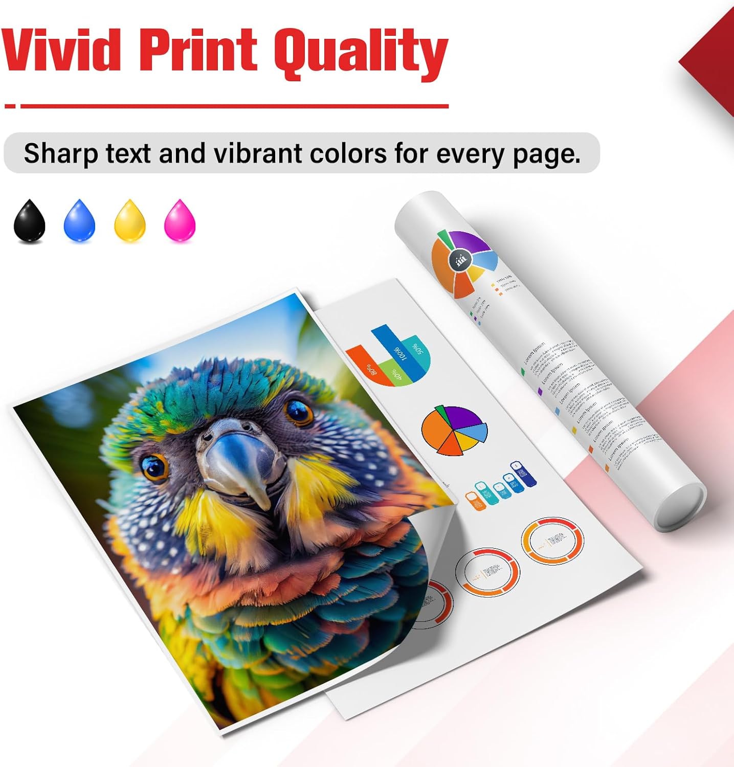 245XL 246XL Combo Pack Ink 245 and 246 for Canon Printer MG2522 MX490 Replacement for Canon Pixma MX492 TS3322 TR4520 TR4500 TS3122 PG-245XL CL-246XL PG245 CL246 (2 Pack Black Tri-Color)