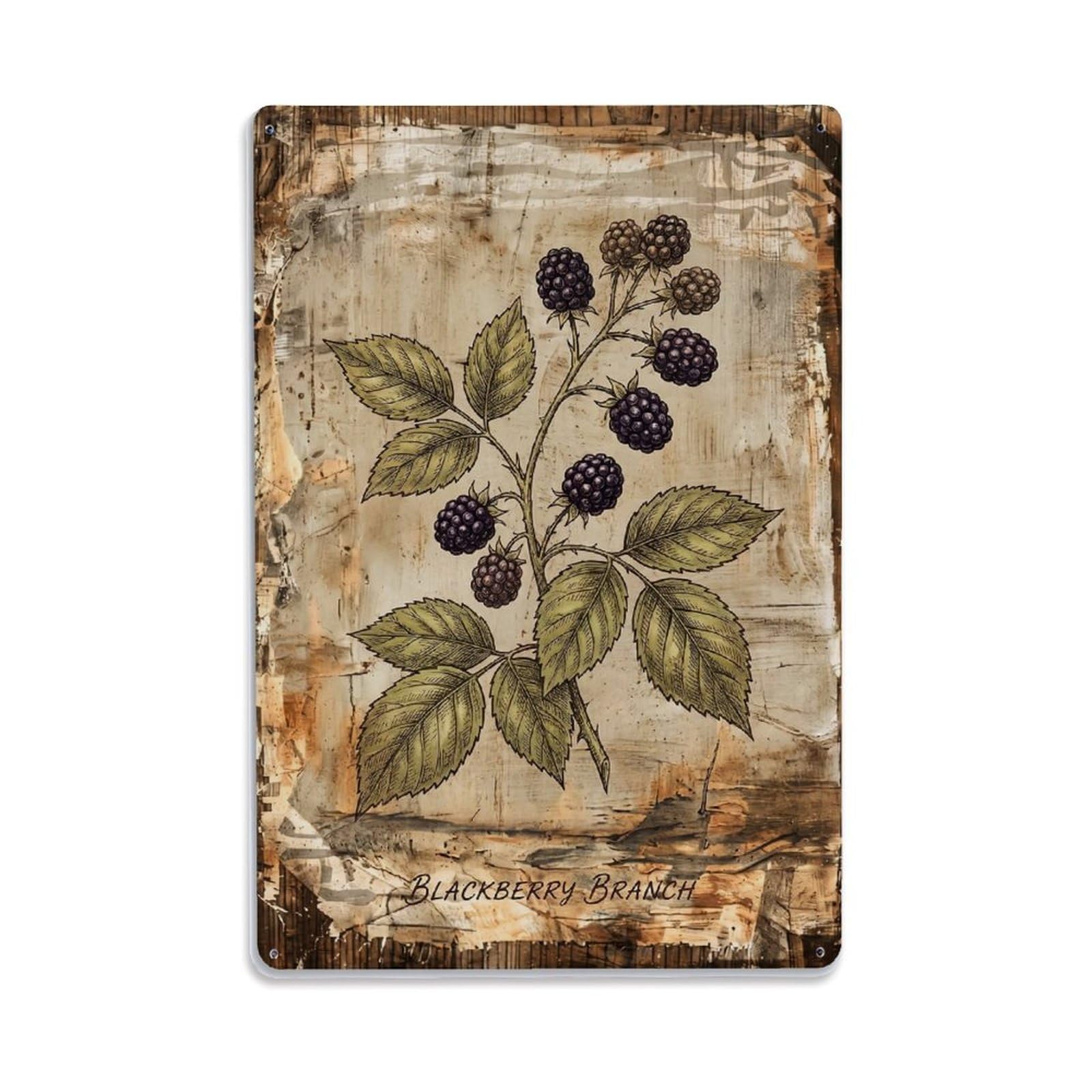 Blackberry Branch Botanical 1 Vintage Metal Tin Sign Plaque Wall Decor for Cafe, Club, Garden Metal Poster 8x12Inch