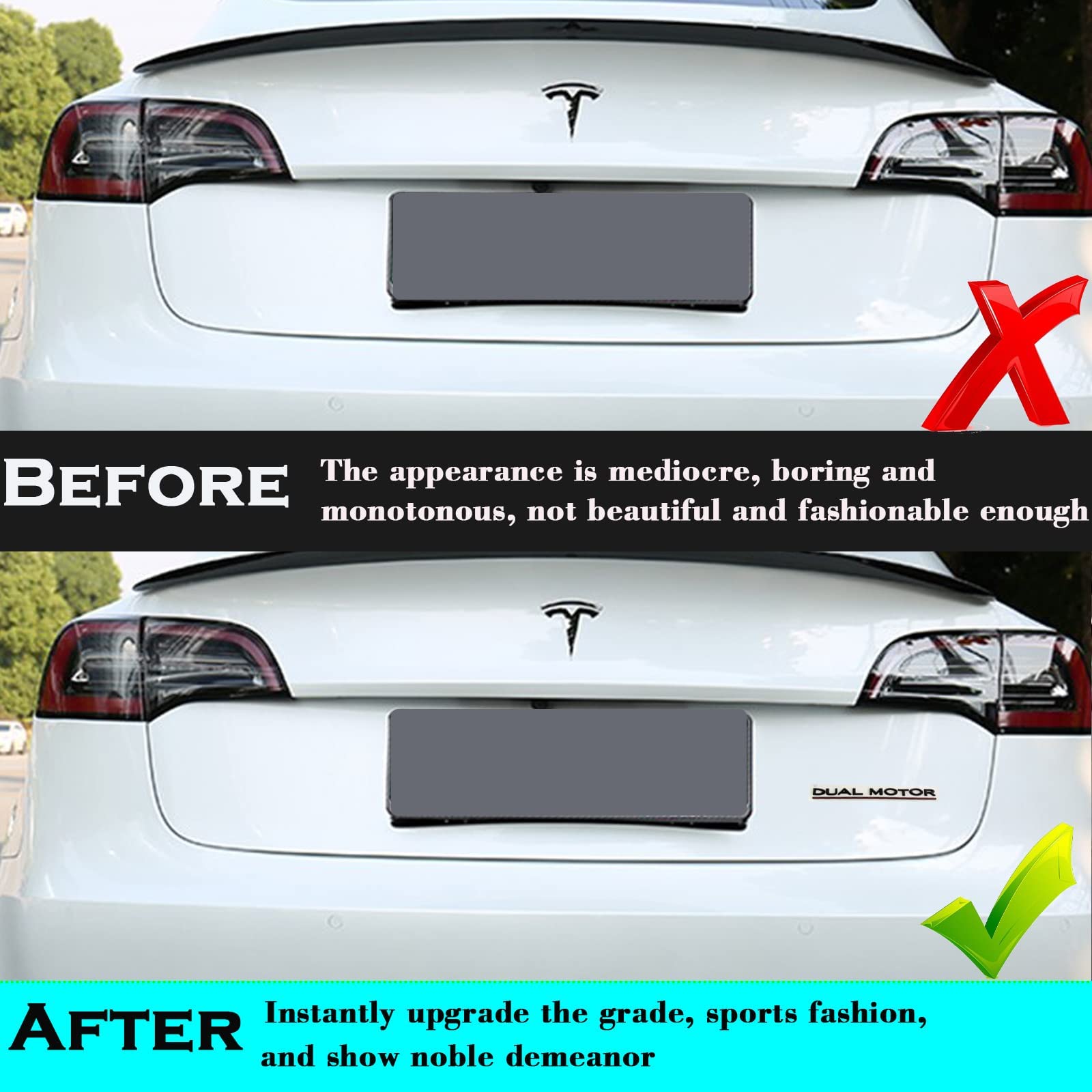 Emblème Double Moteur Noir Mat - Décoration Voiture Tesla Model 3/Y/X/S
