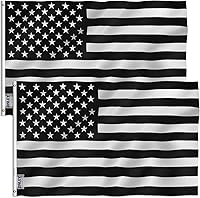 Vista 12 de Delgada línea bandera