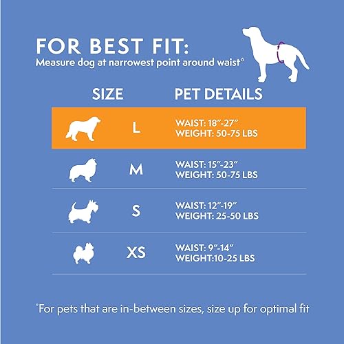 Miniatura 4 de Pañales desechables para perros machos  Envolturas masculinas con ajuste súper absorbente a prueba de fugas  micción excitable incontinencia o macho