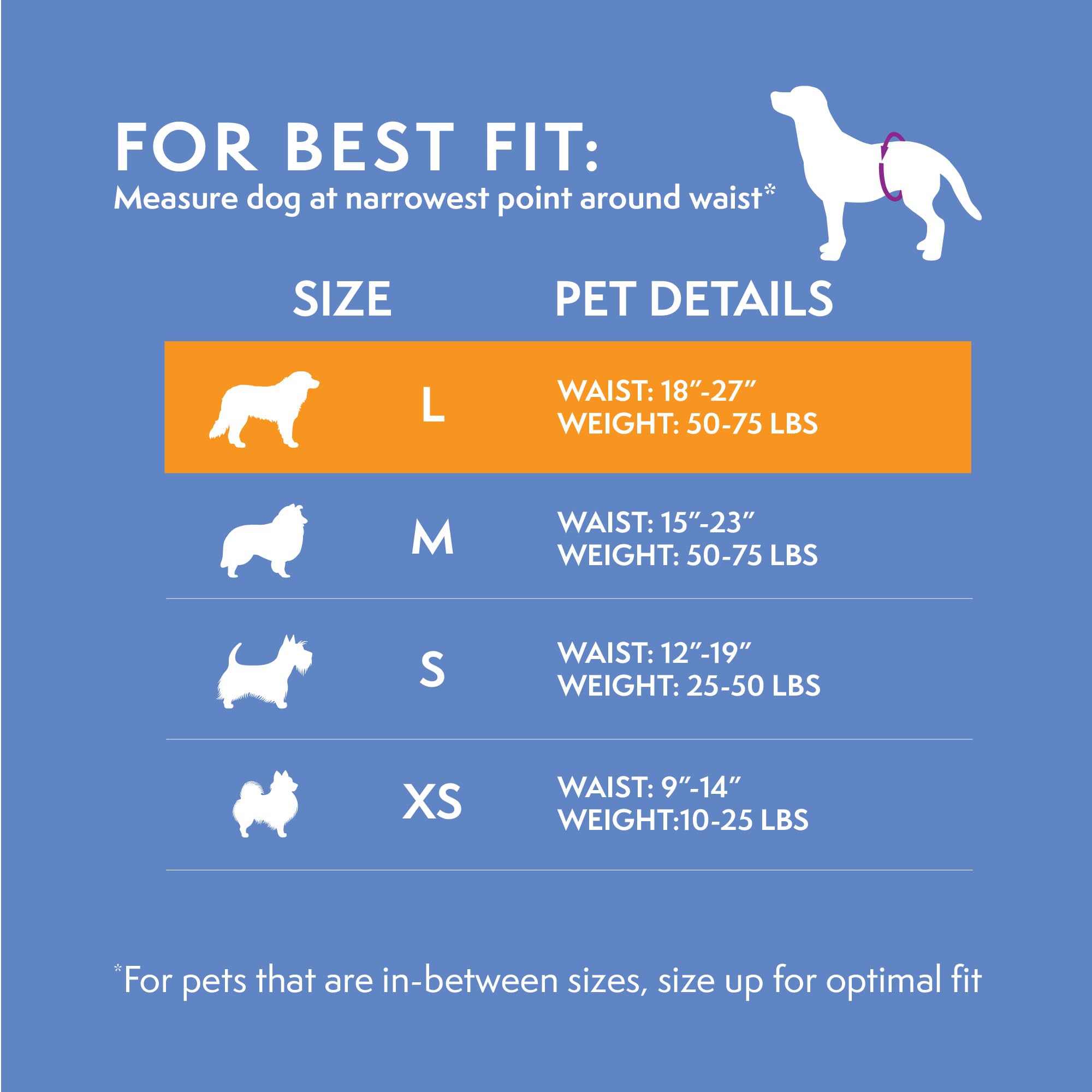 Simple Solution Pannolini a Fascia Monuso per Cani Maschio con Idicatore di Bagnato, Taglia Grande, Large, 12 unità