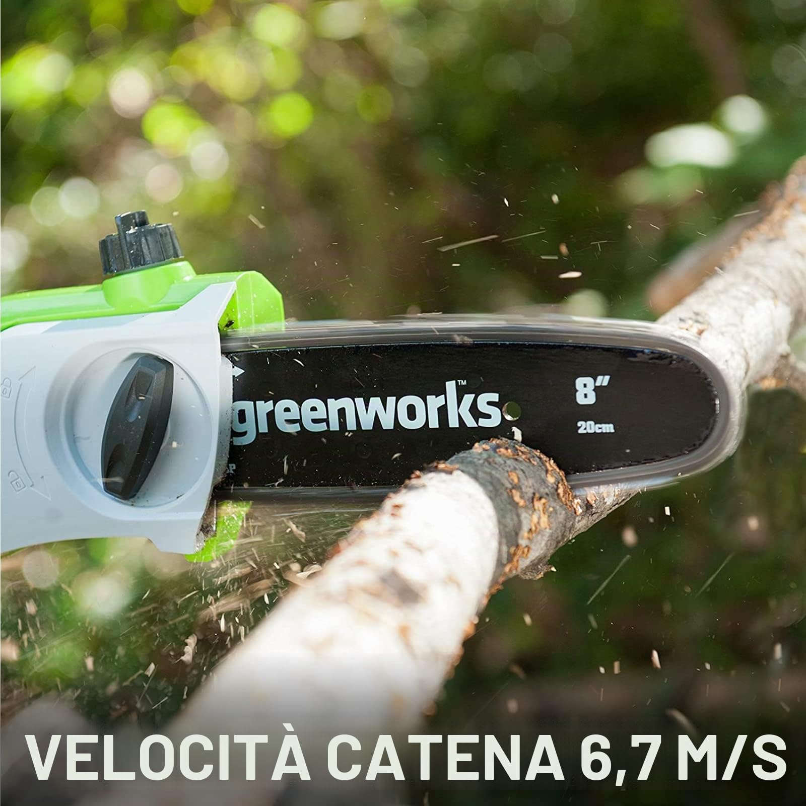 Greenworks Tools 2000107UA Potatore Telescopico con 2 Ah Batterie e Caricabatterie, 24 V, Verde, 20 cm (8") + Guida 20 cm (8") per Motosega, 29497