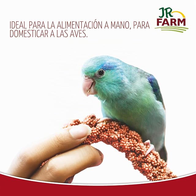 Foto 4 de 5 de JR Farm Birds mijo de mazorca Rojo en Cubo 500 g