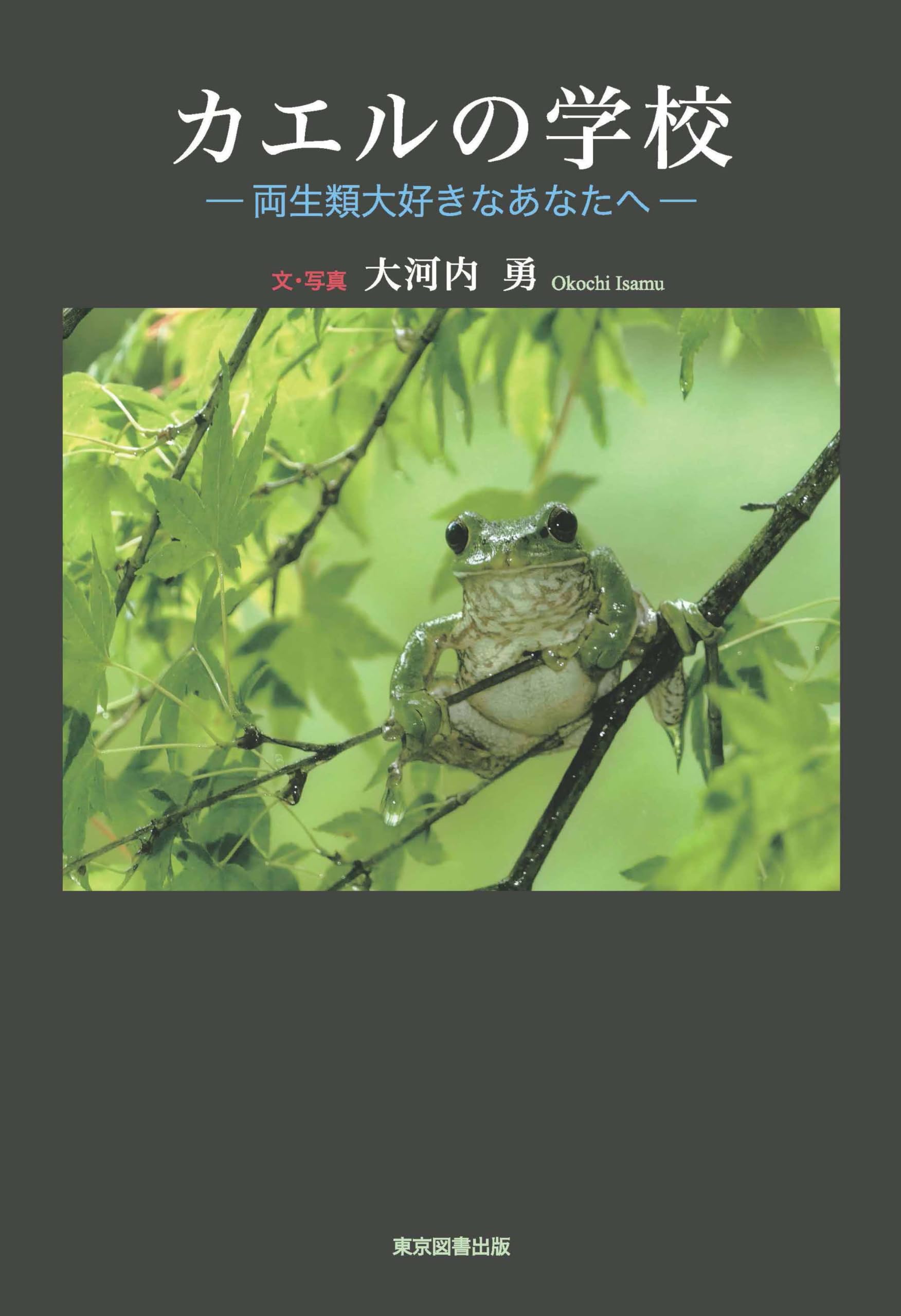 カエル水泳きょうしつ カエル水泳きょうしつ - メルカリ