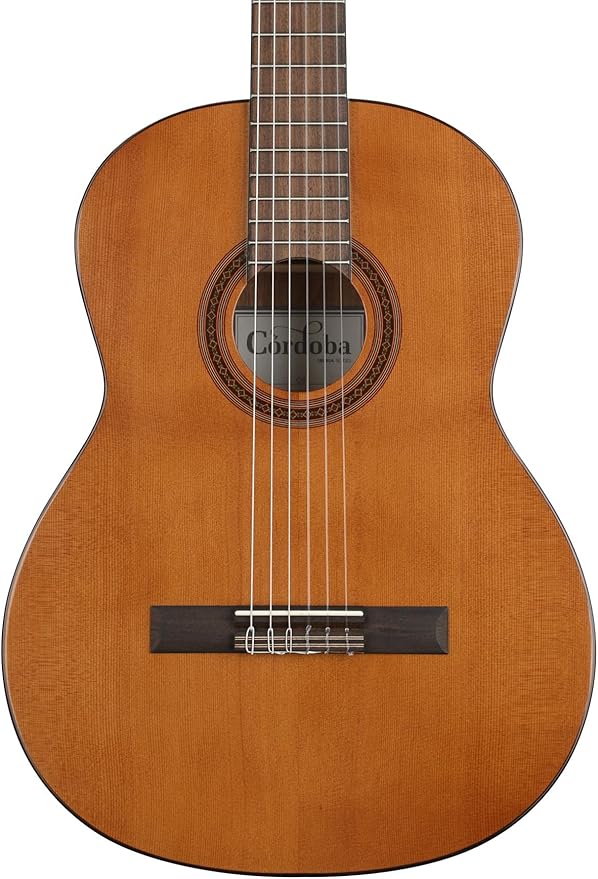 Cordoba C5 CD Classical Acoustic Nylon String Guitar