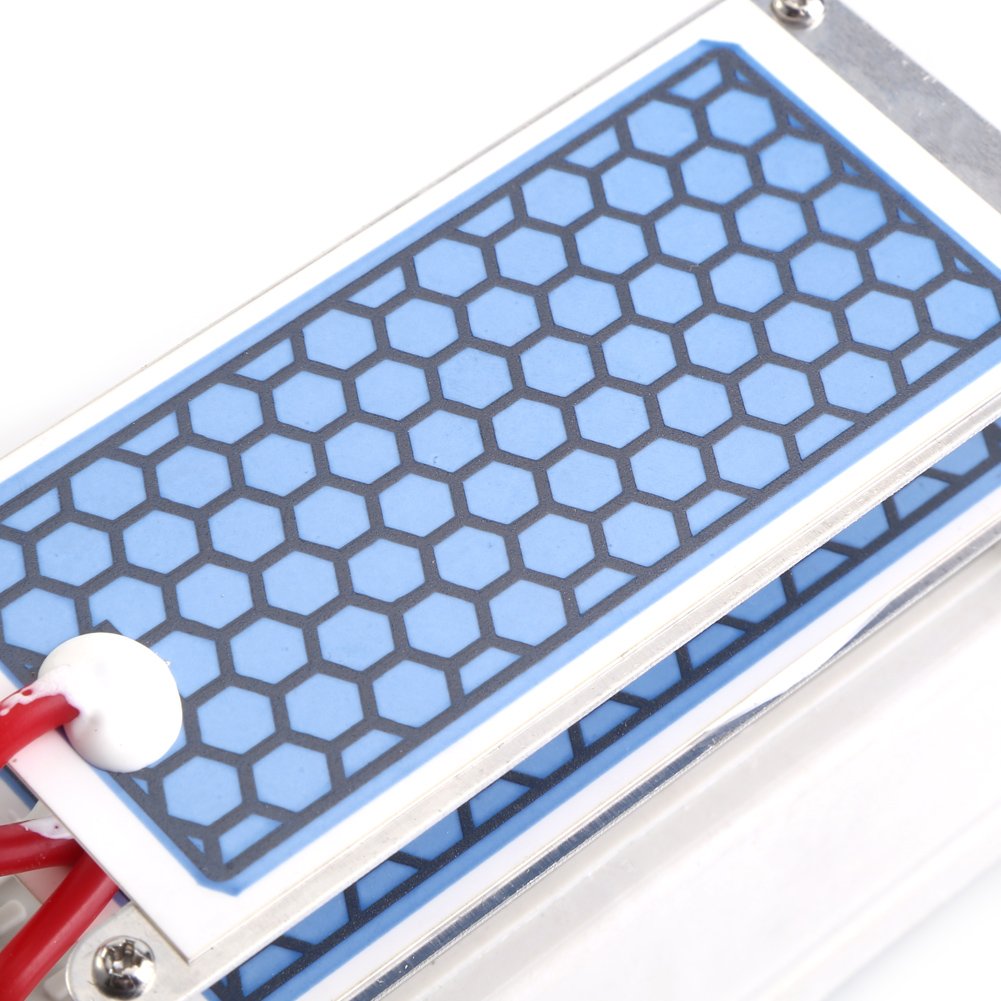 Amazon | オゾン発生器、10g/h AC 110V ポータブルオゾン発生器