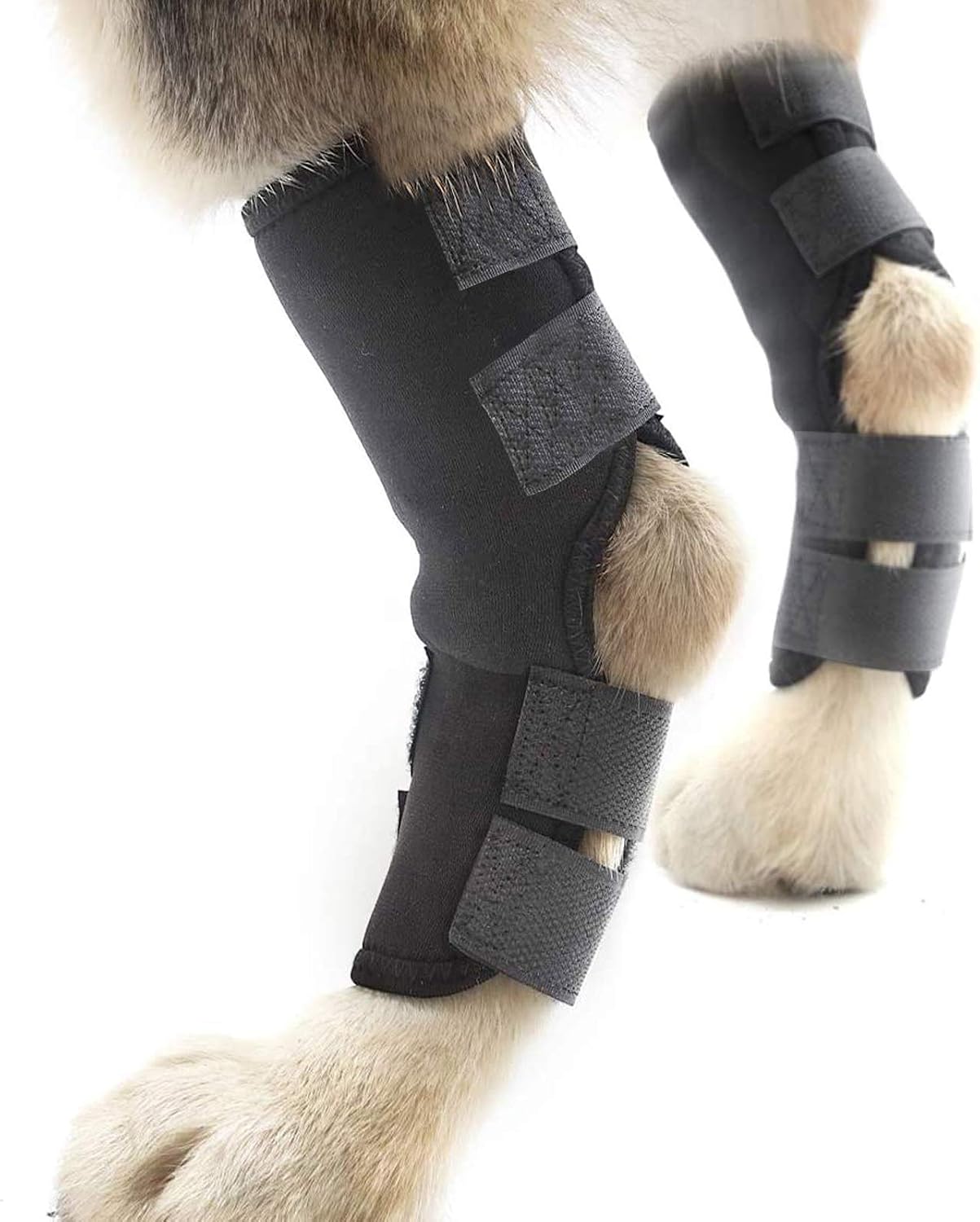 Dog Leg Brace, Supportive Rear Leg Hock Joint Wrap for Hind Legs, Prevents Injuries, One Pair (S)