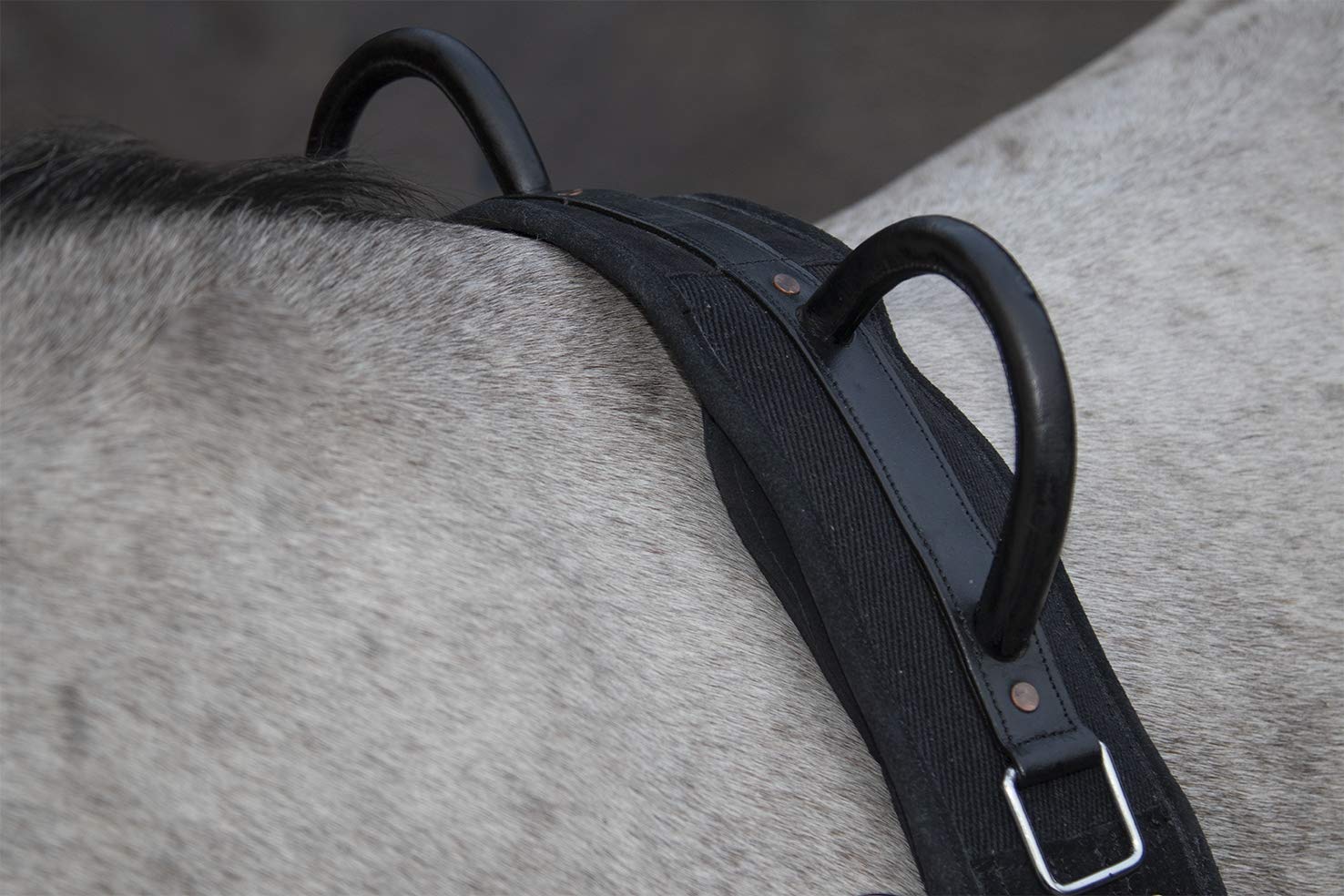 HKM Canvas Cinchuelo con mango Negro Pony