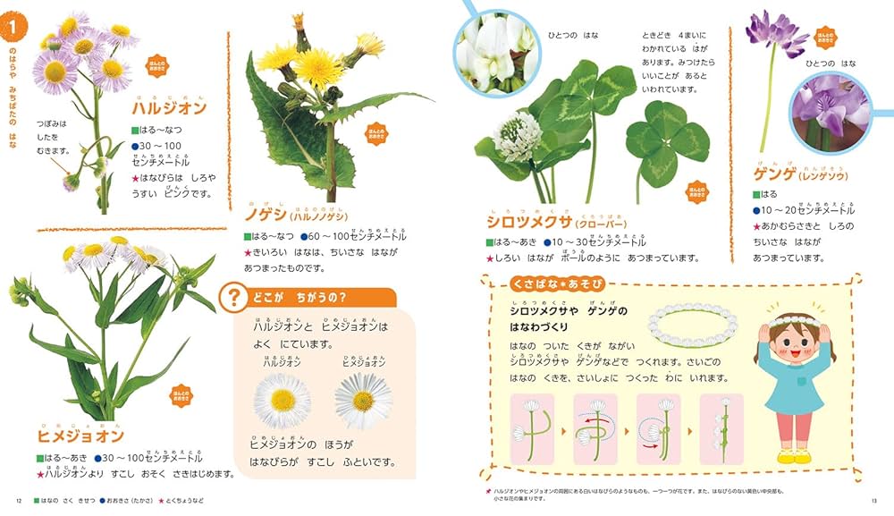 Amazon.co.jp: はな (ひとりでよめるずかん) : 廣瀬 光子, 北澤