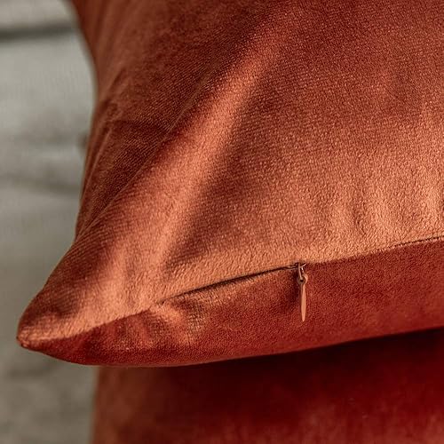 Vista 81 de Juego de 2 fundas de almohada de terciopelo para sofá y cama, 18 x 18 pulgadas, color verde azulado