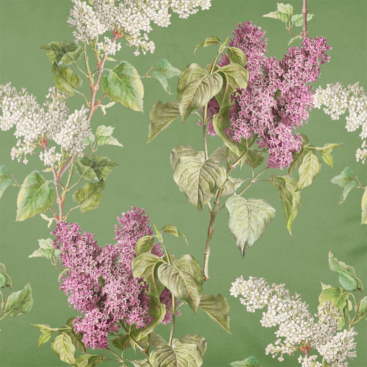 Izabela Peters Sage Luxury Upholstery Curtain Fabric - Eco-Friendly Velvet - Designer Blind, Craft, Sewing Fabric By The Metre - Evening Garden - 1 Metre