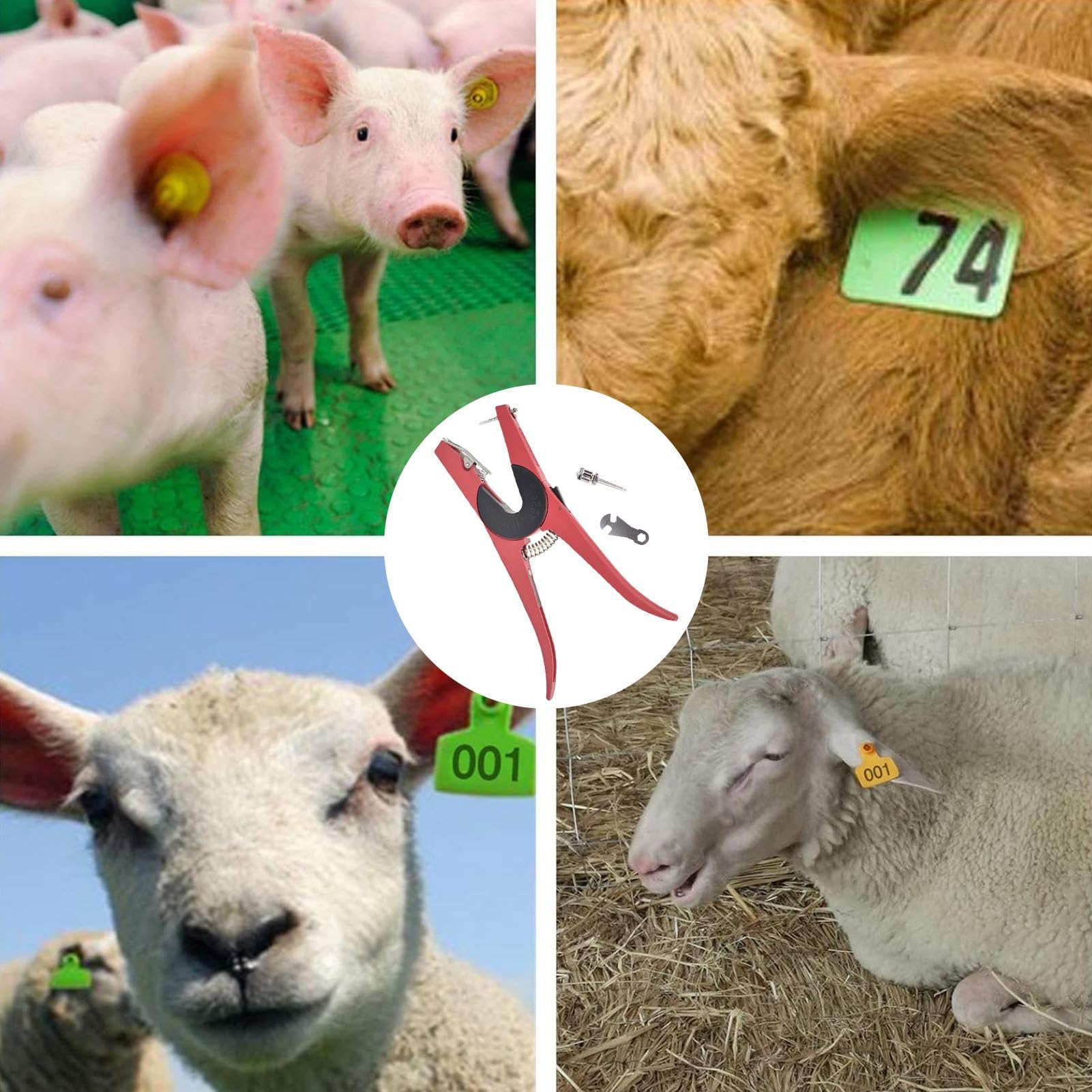 Pince À Boucles D'oreille Bovines, Poignée En D'aluminium Antidérapante, Applicateur Pour Boucles D'oreille Bovines, Pour Chiens Chèvres Cerfs Élevages Et Pâturages