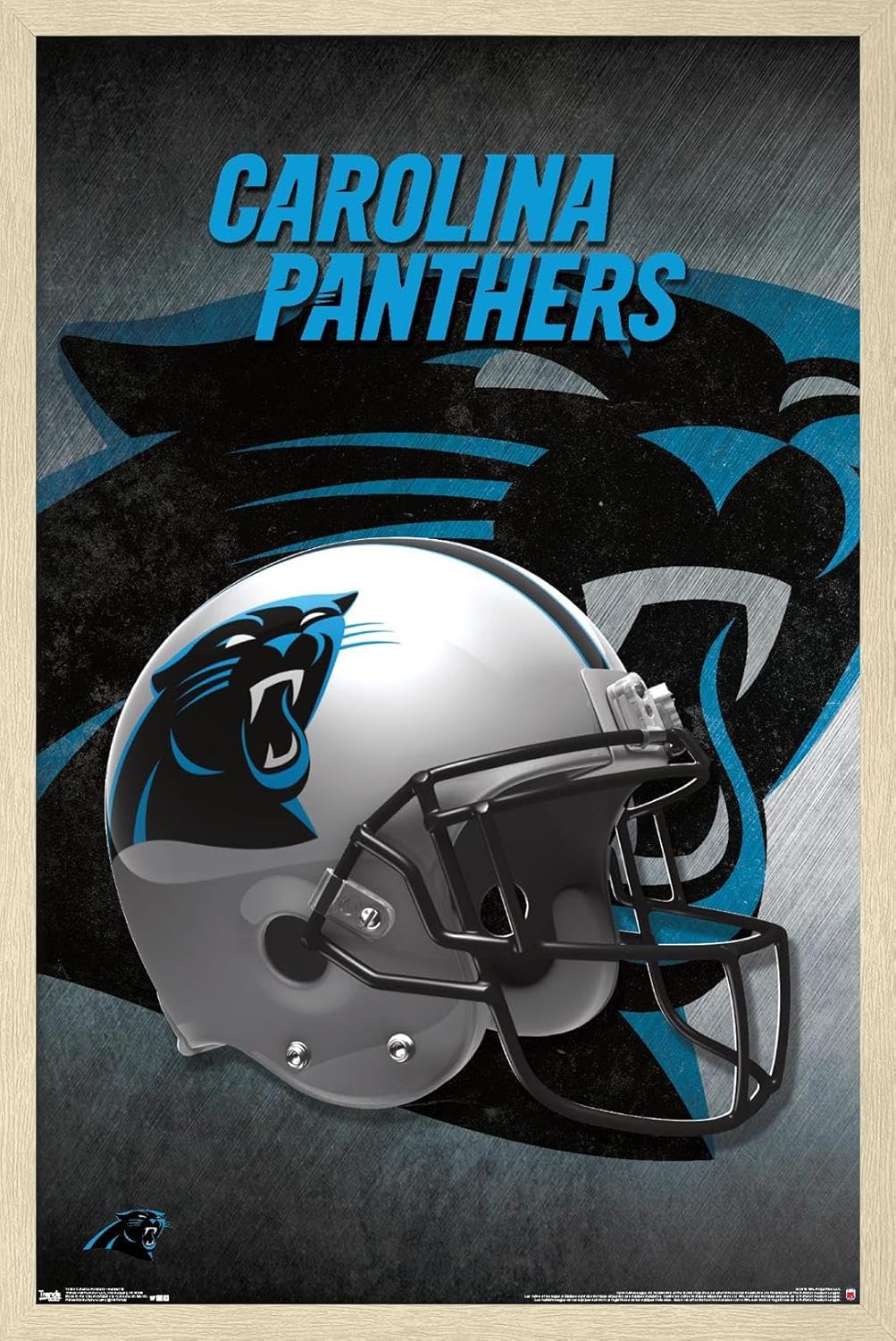 Trends International NFL Carolina Panthers - Helmet 16 Wall Poster, 22.375" x 34", Black Framed Version