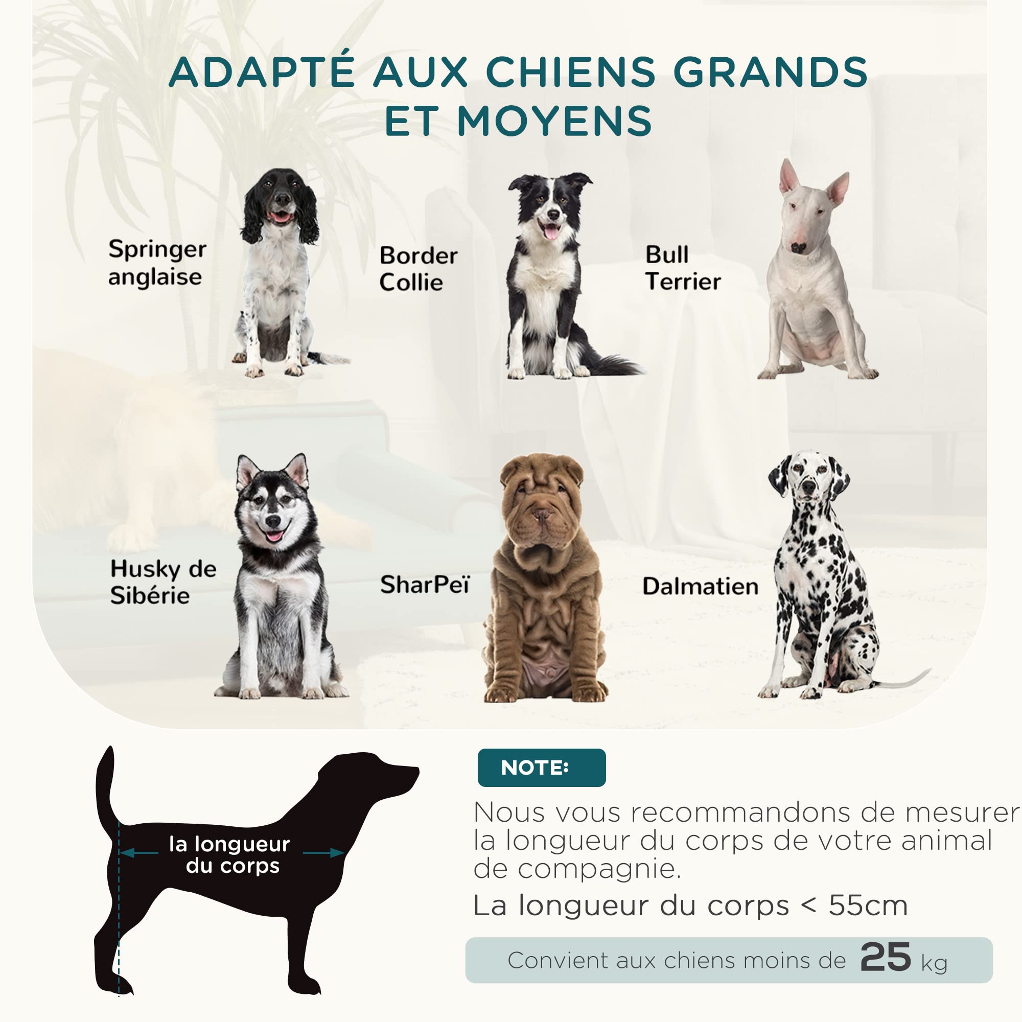 PawHut Canapé pour Chien Chat Design scandinave Coussin Moelleux Amovible Pieds Bois Massif 100 x 62 x 32 cm Bleu Canard