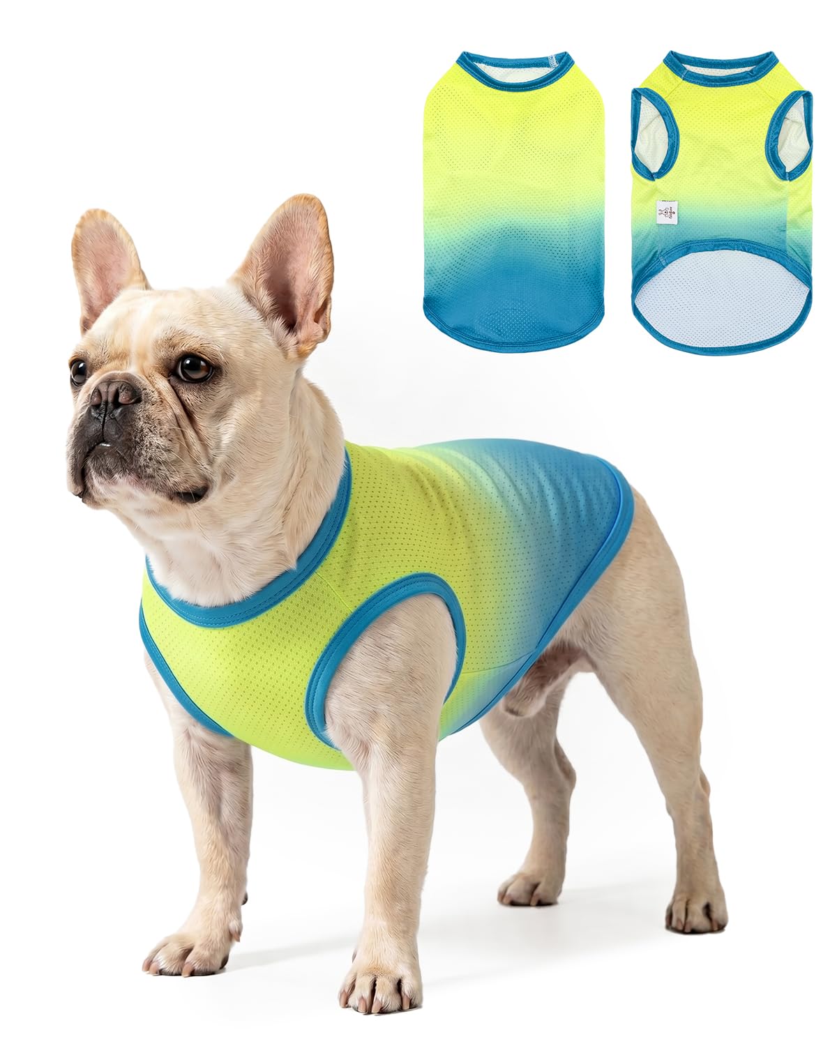 CuteBone Ombre Dog Tank Top for Small Dogs, Cats - Tropical Summer Pet Vest - Breathable Ice Silk Cooling Shirt - Sun Protection, Photo, Casual Play, Walks