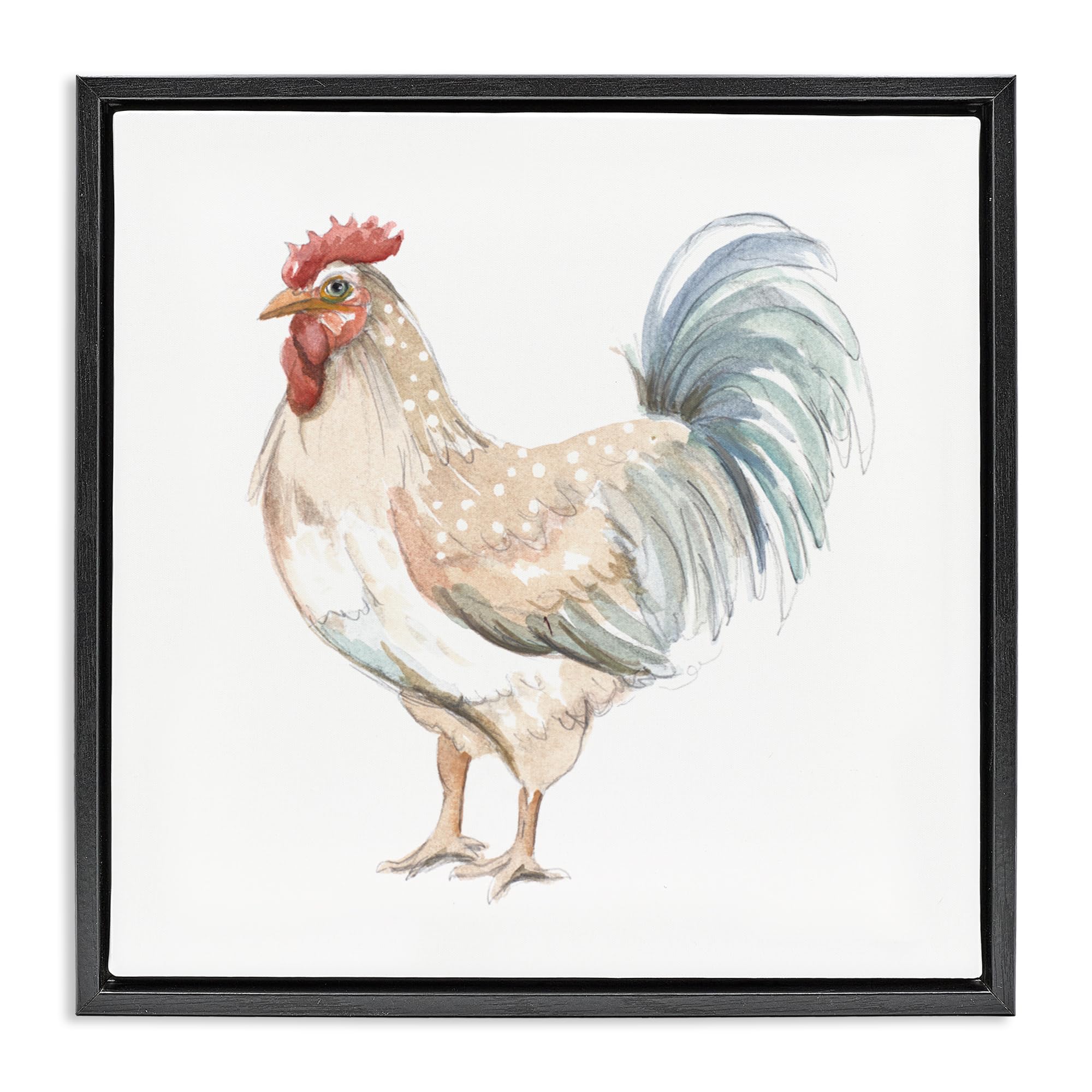 Stupell Industries 'Watercolor Rooster Sketch', Floating Frame Canvas Art, Black, 25 x 25