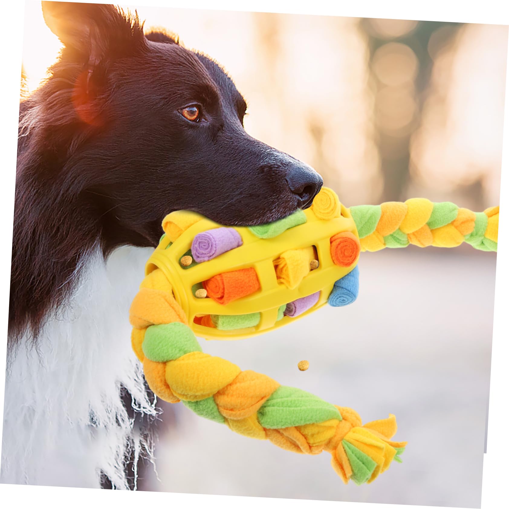BESPORTBLE 4pezzi Palla Interattiva Per Cani Con Dispenser Di Cibo e Gioco Stimolante Perfetta Per La Noia e Promuovere Una Corretta Digestione