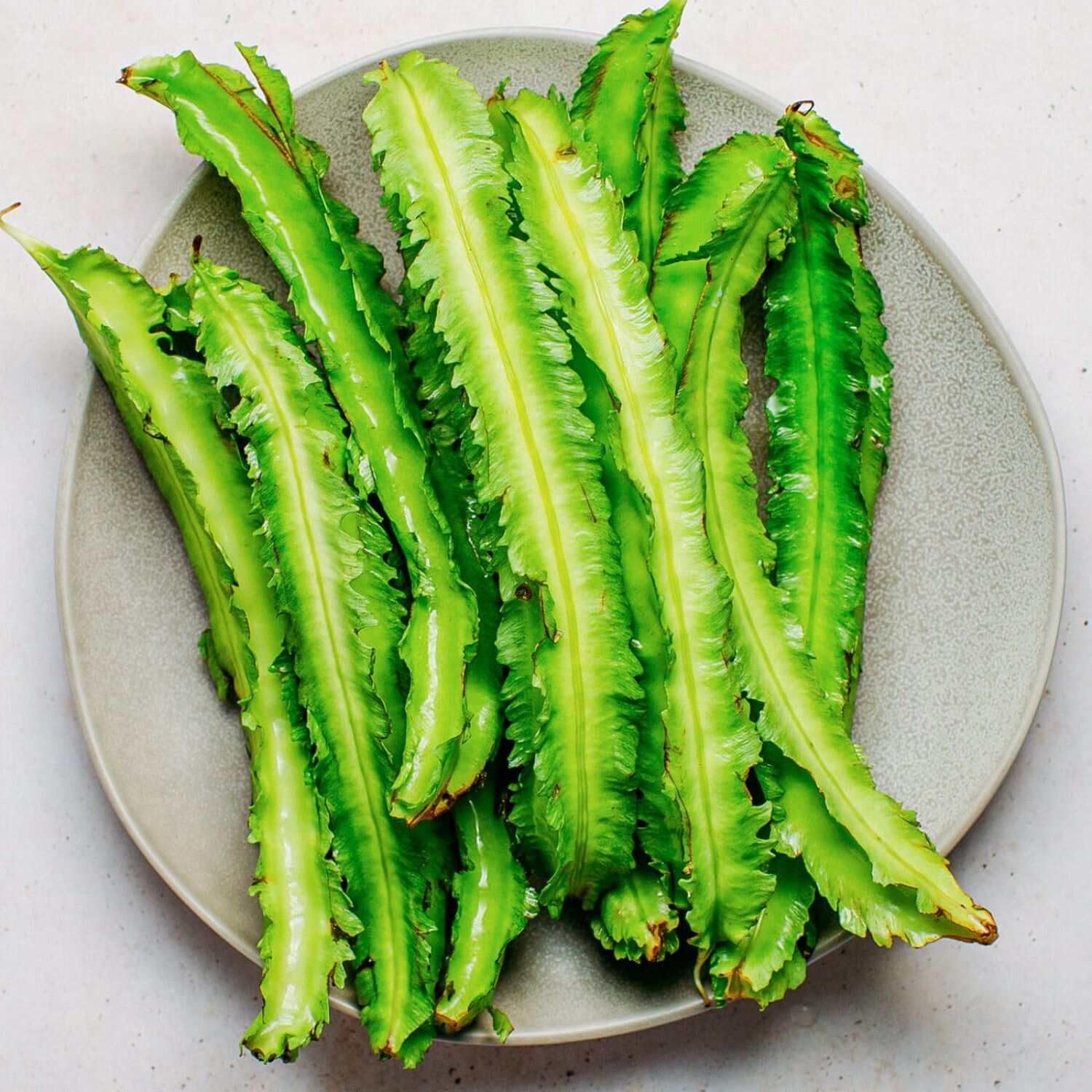 Amazon.com : The Rike 30 Dragon Bean Vine Seeds Winged Beans Seeds