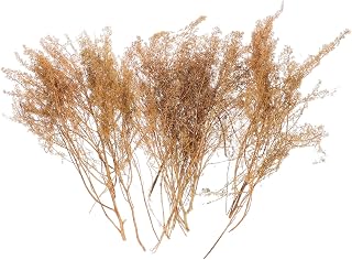 jojofuny Miniature Grass Model 1 Box for DIY Landscape Sand Tables