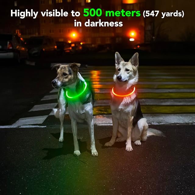 Foto 7 de 8 de Domagiker Collar de perro iluminado, collar LED impermeable para mascotas, recargable