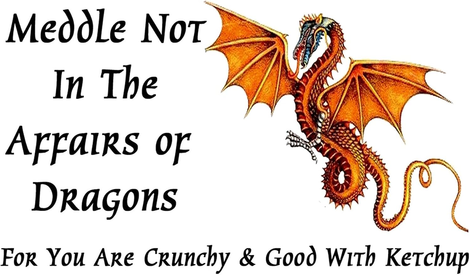 CafePress Meddle Not In The Affairs Of Dragons... Rectangle Rectangle Magnet, 3"x2" Refrigerator Magnet