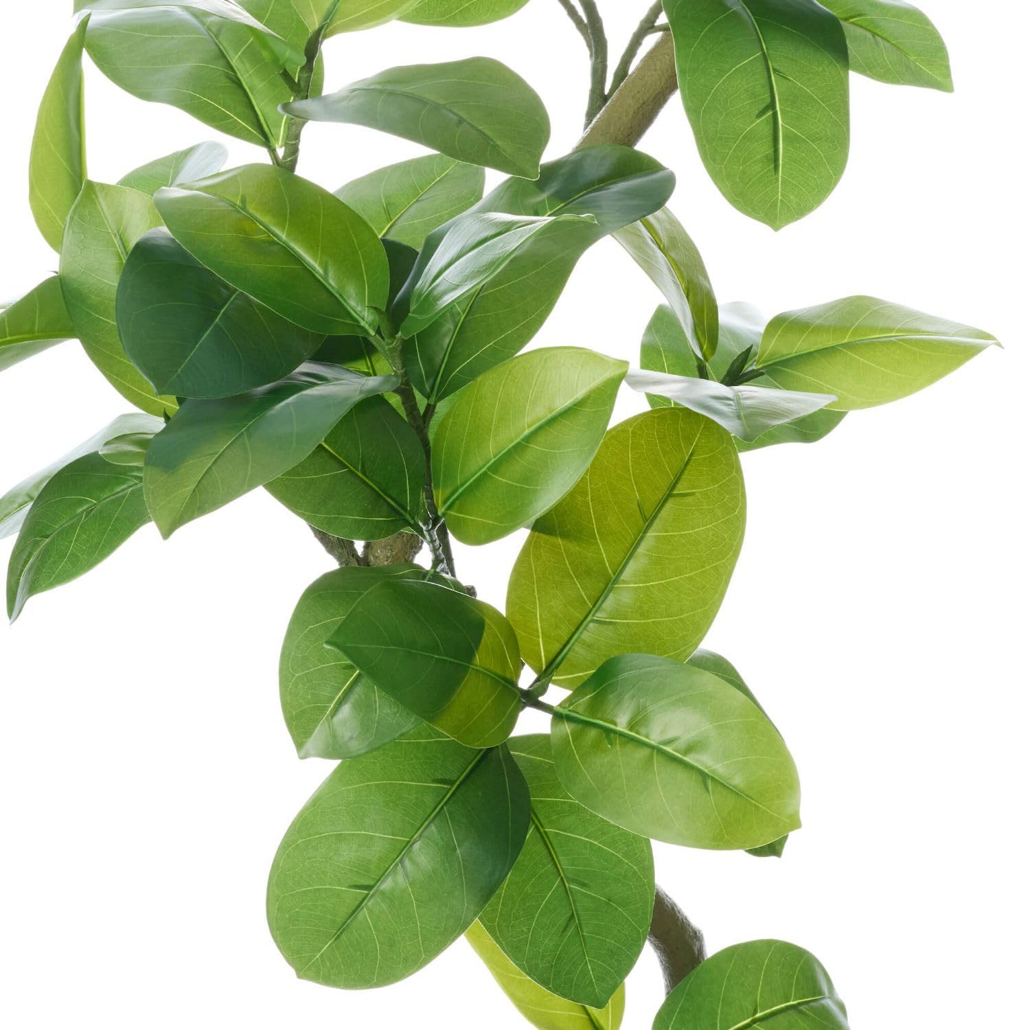 Amazon｜ツイストアルテシマ キューブ H200cm 観葉植物 フェイク 