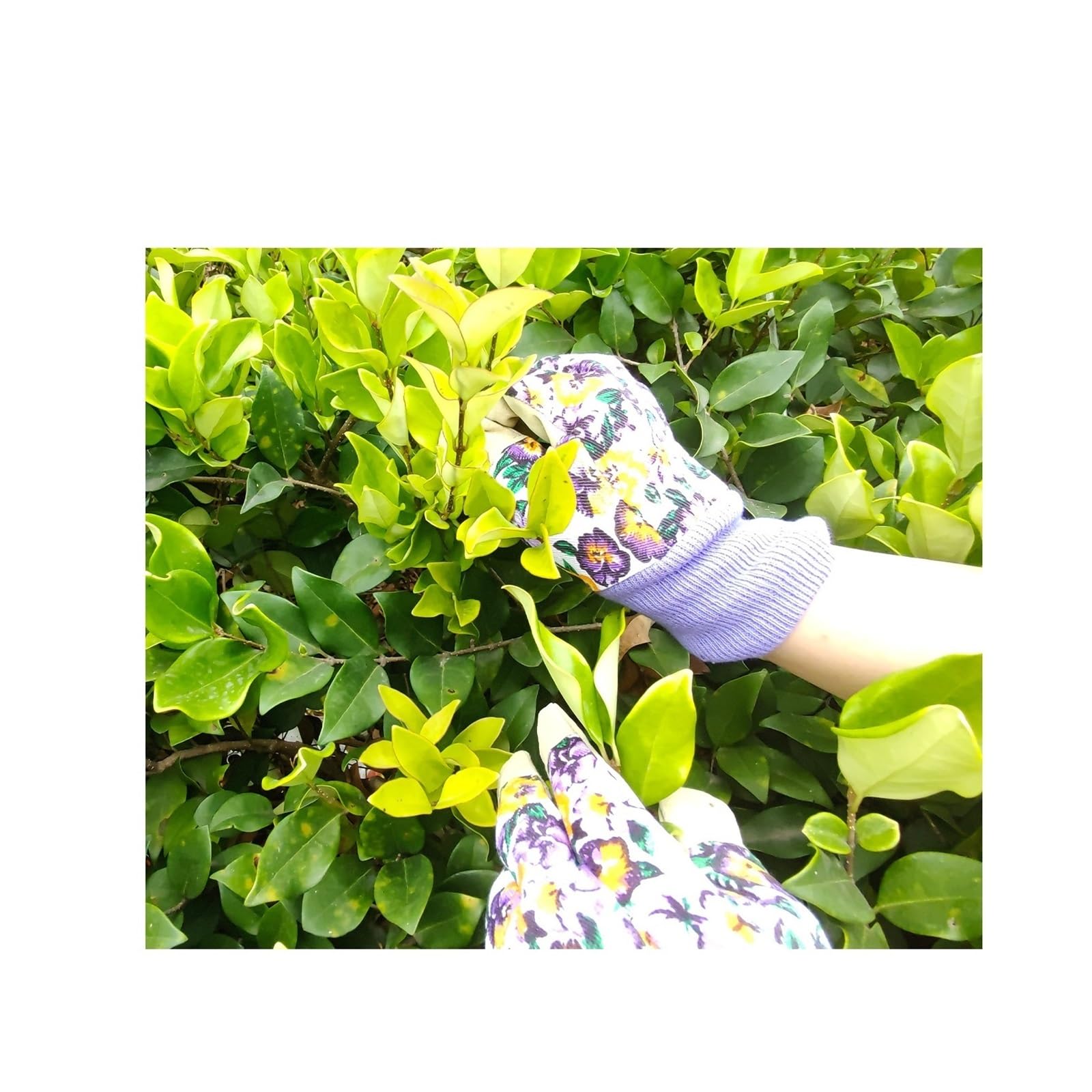 Genérico Guantes de jardinería medianos for mujer, guantes trabajo livianos resistentes a espinas