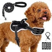 Service Dog Vest, No Pull Dog Harness Small Medium Sized Dog Black, M