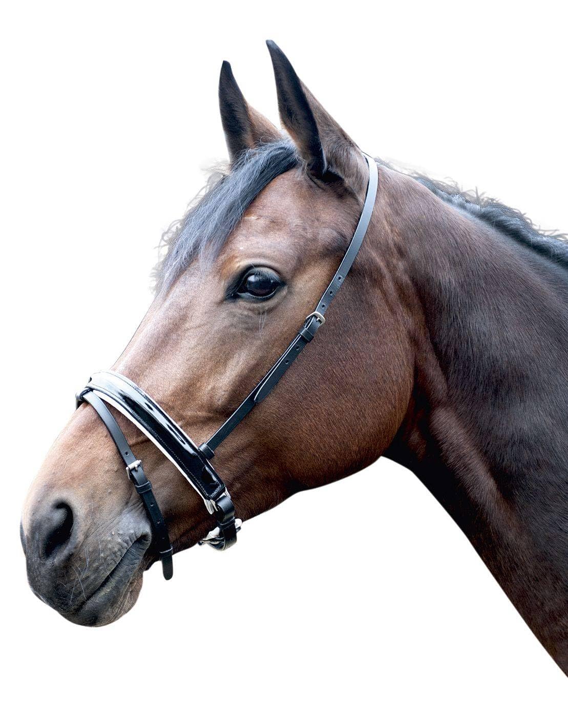Mors à olive anatomique HKM en inox argenté de 16 mm pour le confort du cheval