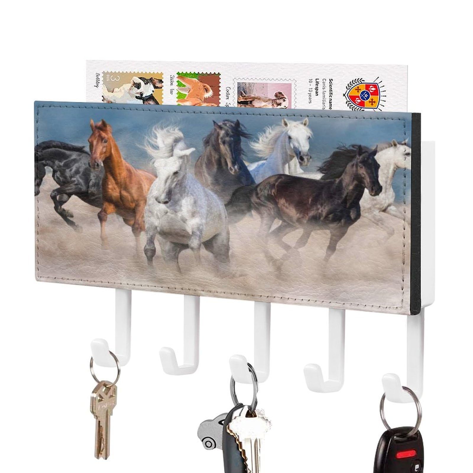 NCLQVJXZKHW Horse Herd Run in Desert Storm Key Holder with 5 Hooks Key Hooks Wall Mounted Key Racks Key Hanger Organiser Shelf