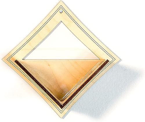 Miniatura 3 de Maceta colgante de pared 9 // Arce, soporte para plantas de aire, colgador de plantas para Tillandsia, suculentas, cactus, exhibición de aerio para