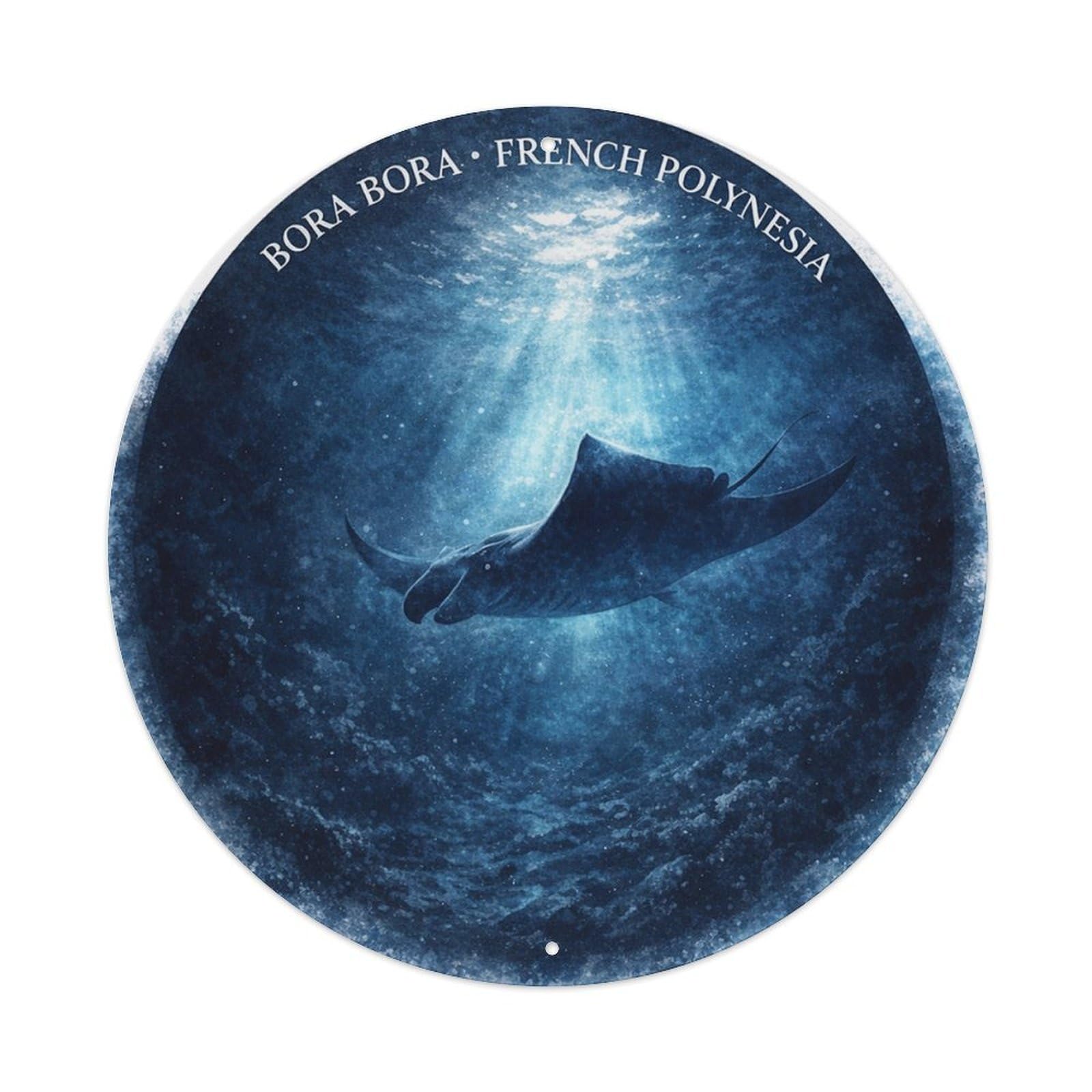 Olyhtr 8X8inch Classic Style Deep Ocean Manta Ray Borabora Wildlife Travel Metal Tin Sign