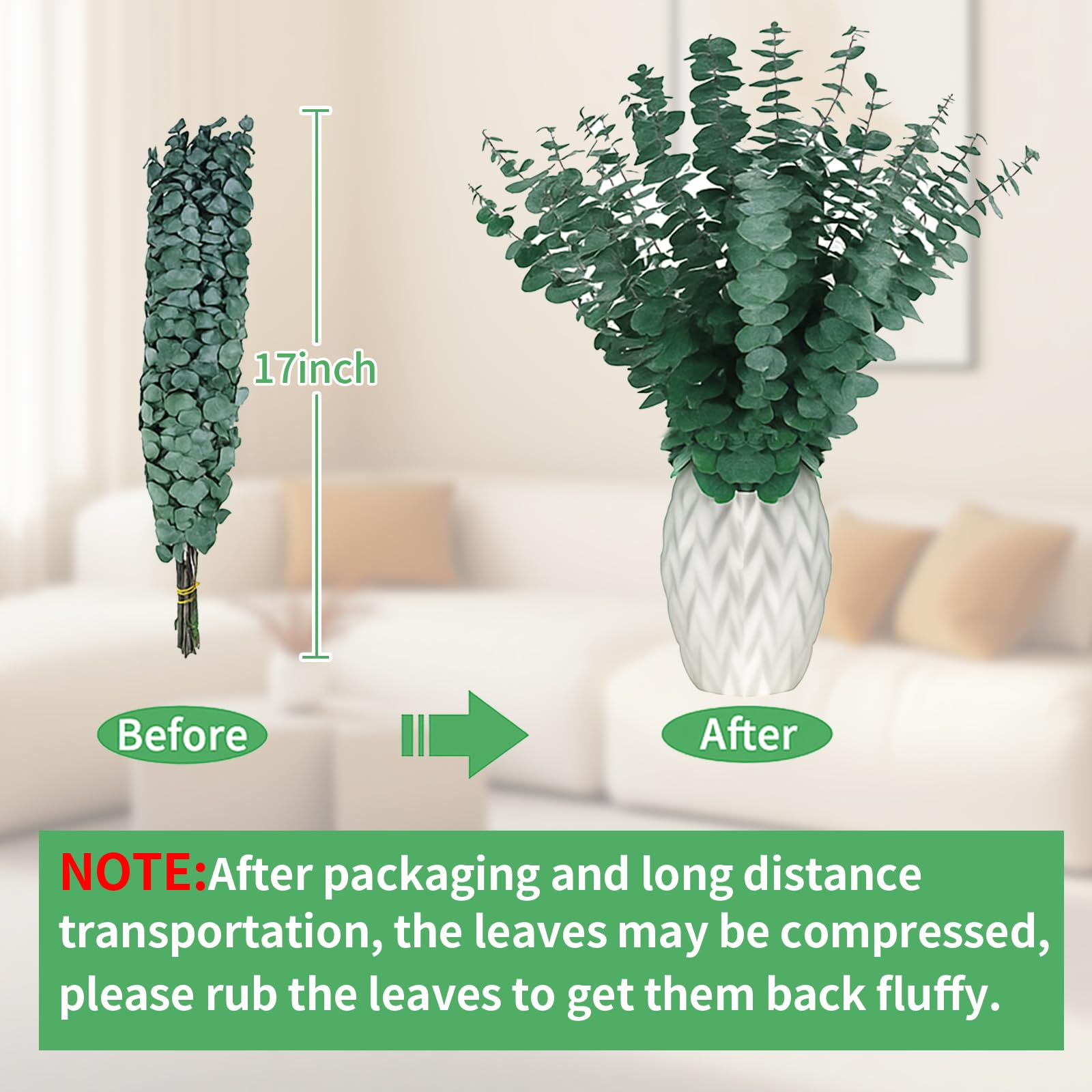 Lot De 16 Tiges D'eucalyptus Séchées Naturelles Et Fraîches à Suspendre Pour La Maison, Le Spa, Le Mur, La Salle De Bain, Les Fêtes De Mariage