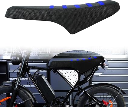 CHANGCHENG Ebike         Ridstar Q20/Q20 Pro/